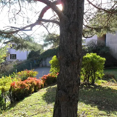 Apartment I Tre Faggi Albese Con Cassano