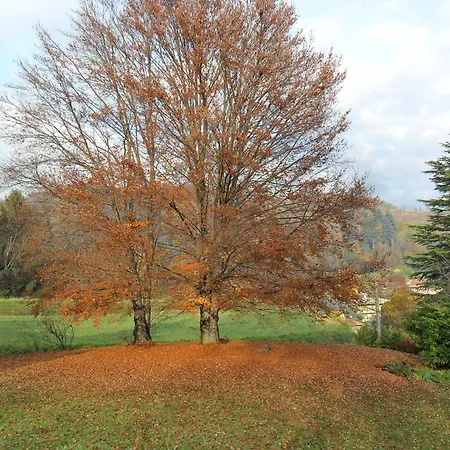 I Tre Faggi Albese Con Cassano