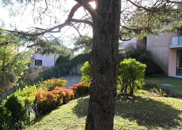 公寓 I Tre Faggi Albese Con Cassano