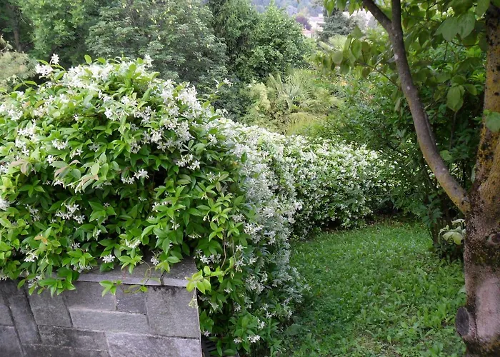 公寓 I Tre Faggi Albese Con Cassano