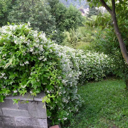 公寓 I Tre Faggi Albese Con Cassano